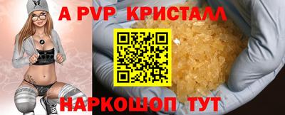 Альфа ПВП Кингисепп