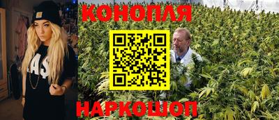 PSILOCYBIN Камышлов