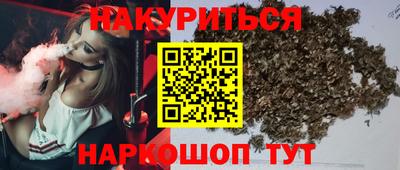 Альфа ПВП Кингисепп