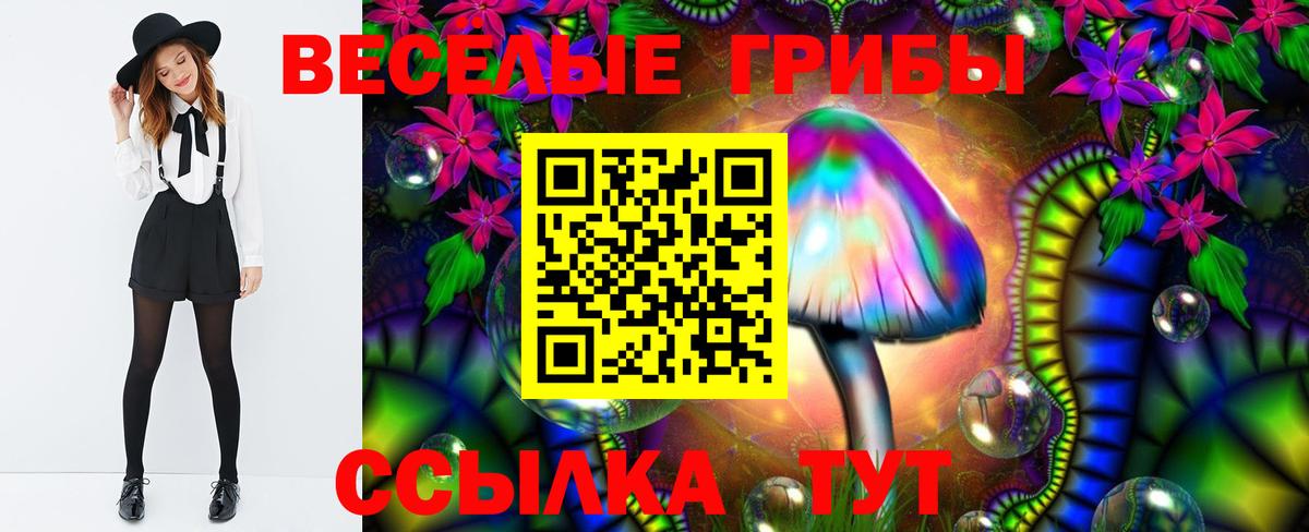 Псилоцибиновые грибы GOLDEN TEACHER Кудымкар